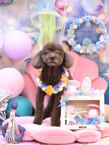 20240804杏ちゃん